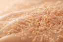 Microbiome surface skin Maison Sahéo
